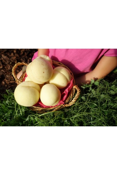 Білі персики пізнього сорту Айс Піч